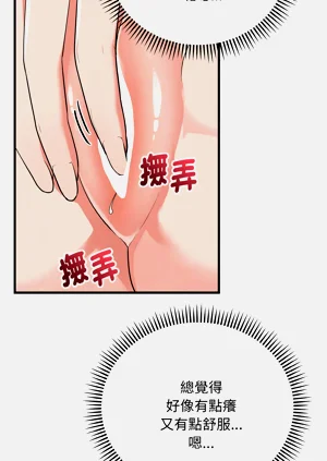 第295页图