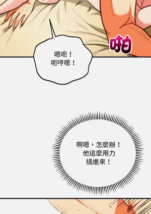 第497页图