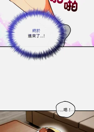 第600页图