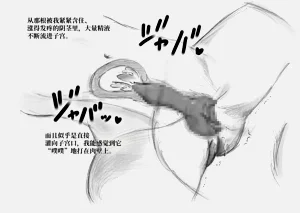 第25頁圖