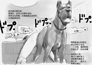 第35頁圖