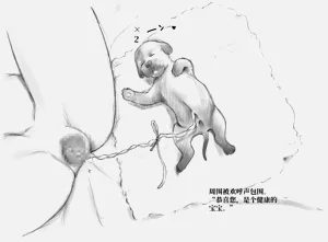 第65頁圖