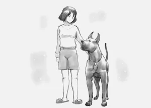 第82頁圖