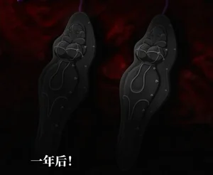 第50頁圖