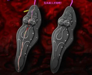 第53頁圖