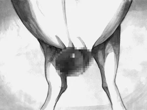 第196頁圖