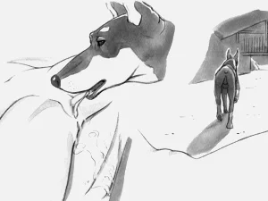 第210頁圖