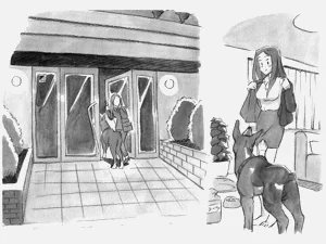 第244頁圖