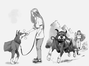 第253頁圖