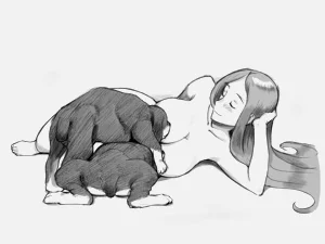 第272頁圖