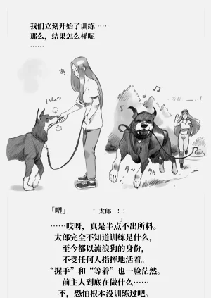 第81頁圖
