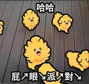 第25页图