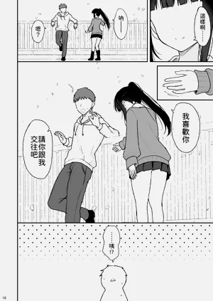 第17页图
