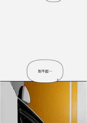 第256頁圖