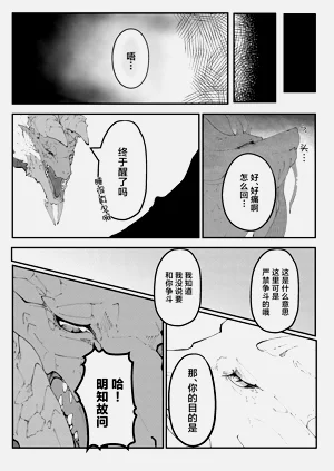 第13页图