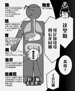 第51页图