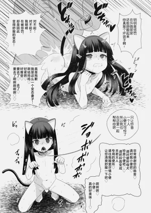 第17页图