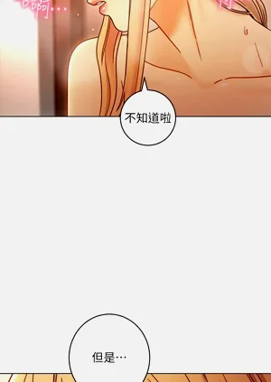 第116页图