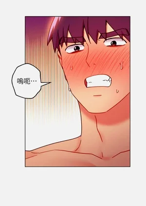 第248页图