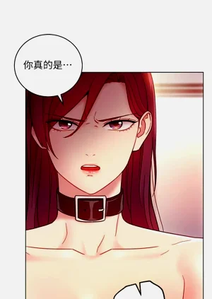 第260页图