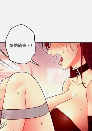 第292页图