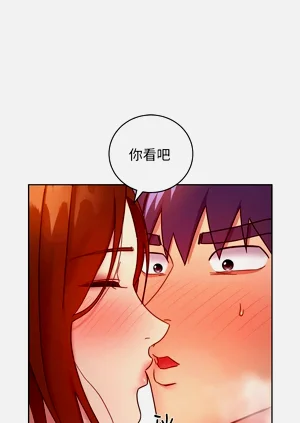 第508页图