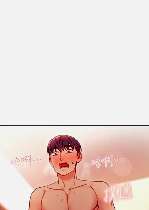 第511页图