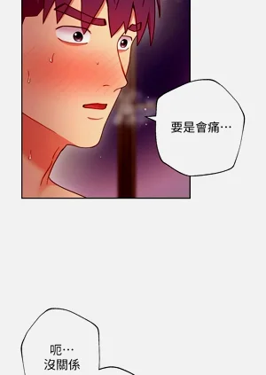 第560页图