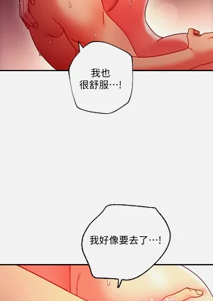 第43页图