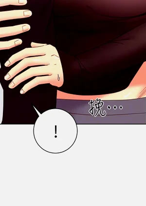 第463页图