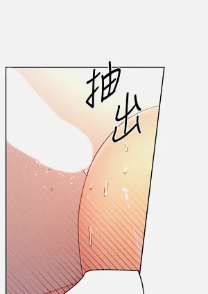 第260页图