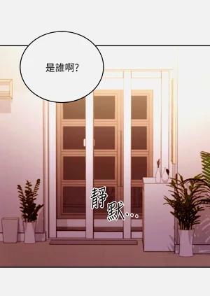 第313页图