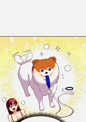 第411页图