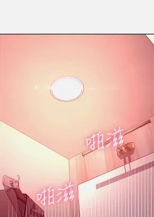 第542页图