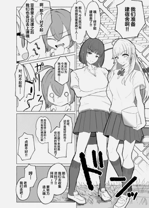 第8页图