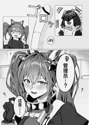 第8页图