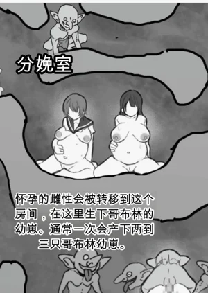 第11页图