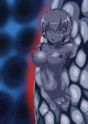 第73頁圖