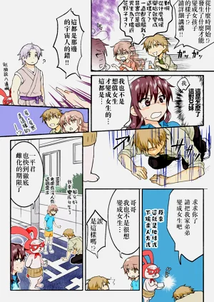 第282頁圖