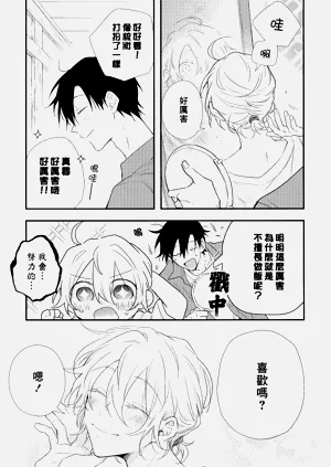 第223頁圖
