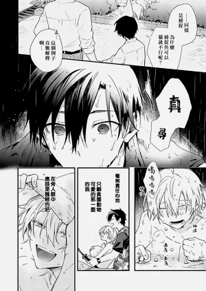 第61頁圖