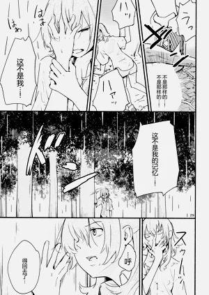 第29頁圖