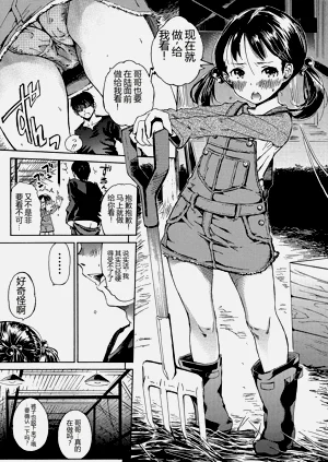 第49頁圖
