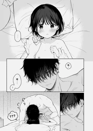 第95頁圖