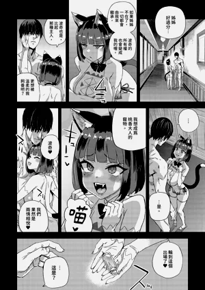 第14页图