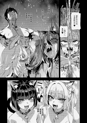 第51页图