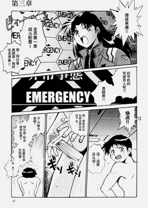 第41頁圖