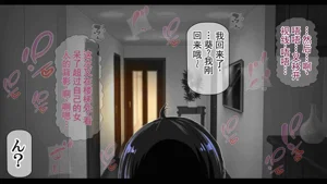 第384頁圖