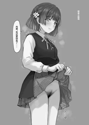 第27頁圖