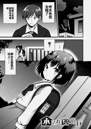 第3页图